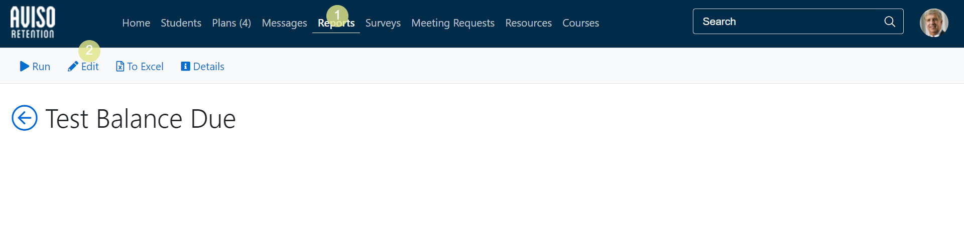 The Reports page showing header actions Run, Edit, To Excel, and Details. Page title showing Test Balance Due under the Reports tab.