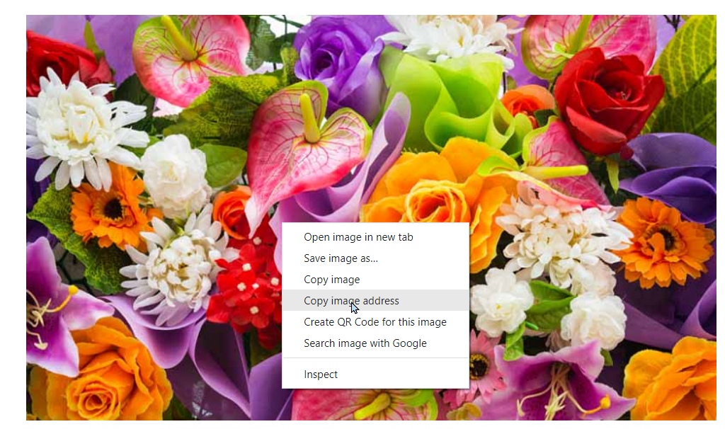 2023-07-19 08_51_48-57 Types of Flowers You Should Grow.png