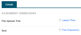 Text-Attachment.png