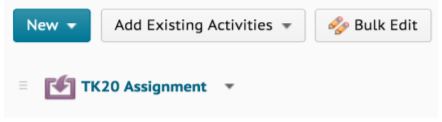 The content area showing a TK20 Assignment item listed under the toolbar with New, Add Existing Activities, and Bulk Edit buttons.