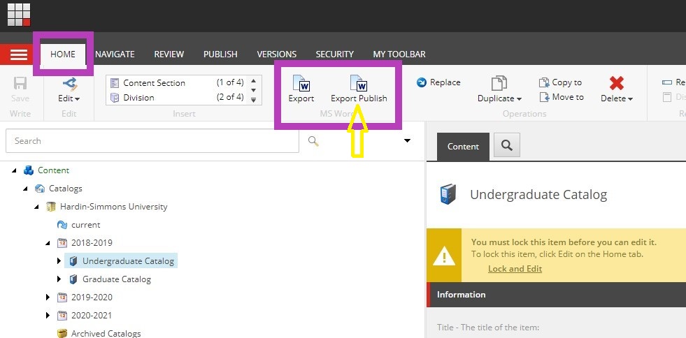 The 'Home' page showing the 'Export' and 'Export Publish' buttons highlighted in the top menu, with an arrow pointing at the 'Export Publish' button.
