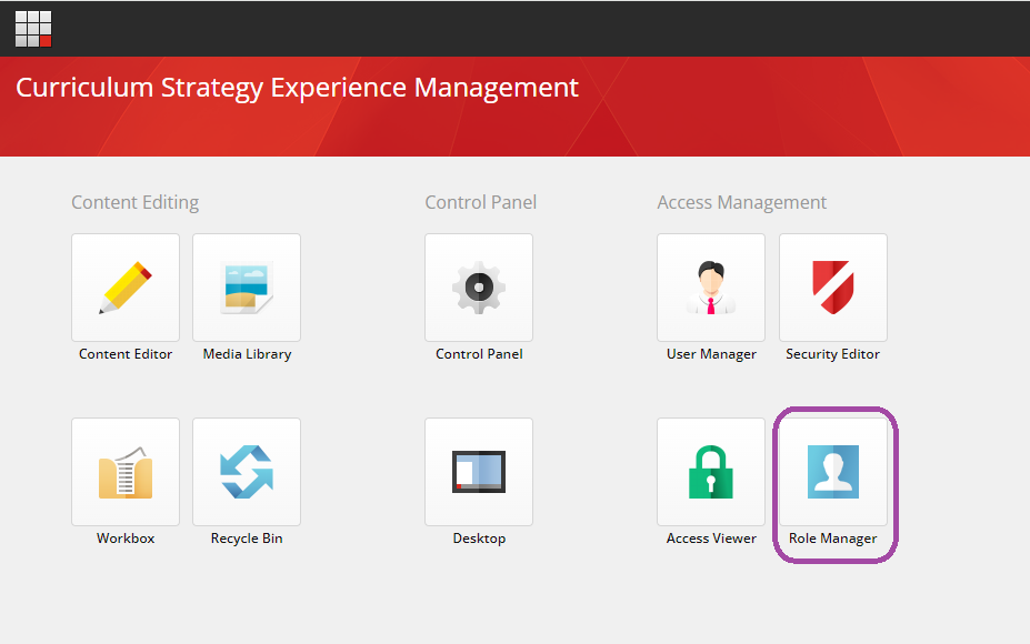 The Curriculum Strategy Experience Management dashboard showing the Access Management section with Role Manager highlighted, alongside User Manager, Security Editor, and Access Viewer icons. The Content Editing section shows Content Editor, Media Library, Workbox, and Recycle Bin icons. The Control Panel section shows Control Panel and Desktop icons.