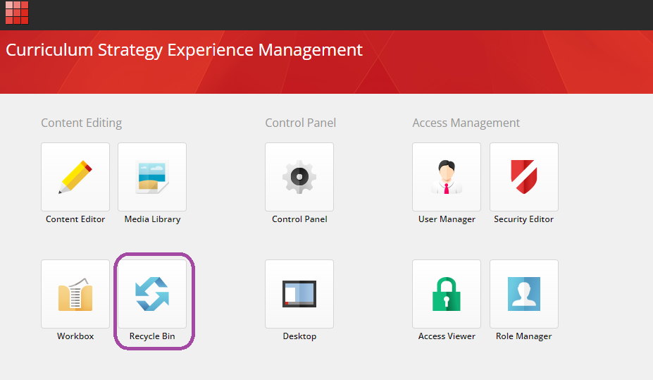 The Curriculum Strategy Experience Management dashboard showing the Content Editing section with Recycle Bin highlighted, alongside Content Editor, Media Library, and Workbox icons. The Control Panel section shows Control Panel and Desktop icons. The Access Management section shows User Manager, Security Editor, Access Viewer, and Role Manager icons.