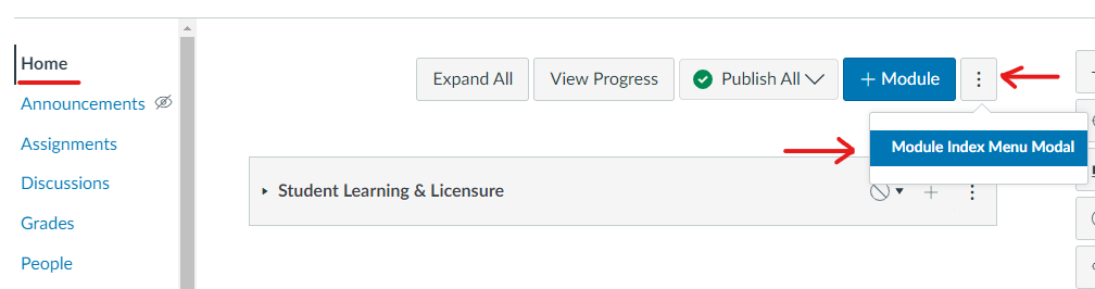 Screenshot showing the Canvas Modules page with ellipses next to the '+Module' button.