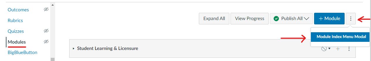 Screenshot showing the Canvas Home page with ellipses next to the '+Module' button.