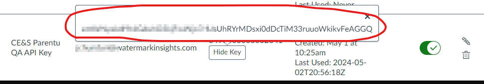 The API key details page showing the full key value expanded and highlighted above the key’s associated account information.