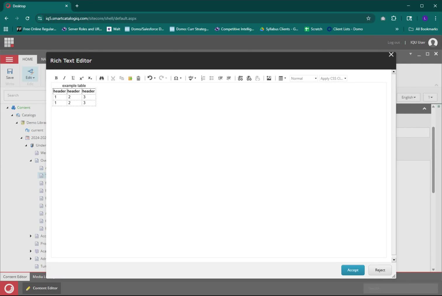 Rich Text Editor window showing table with headers and example content