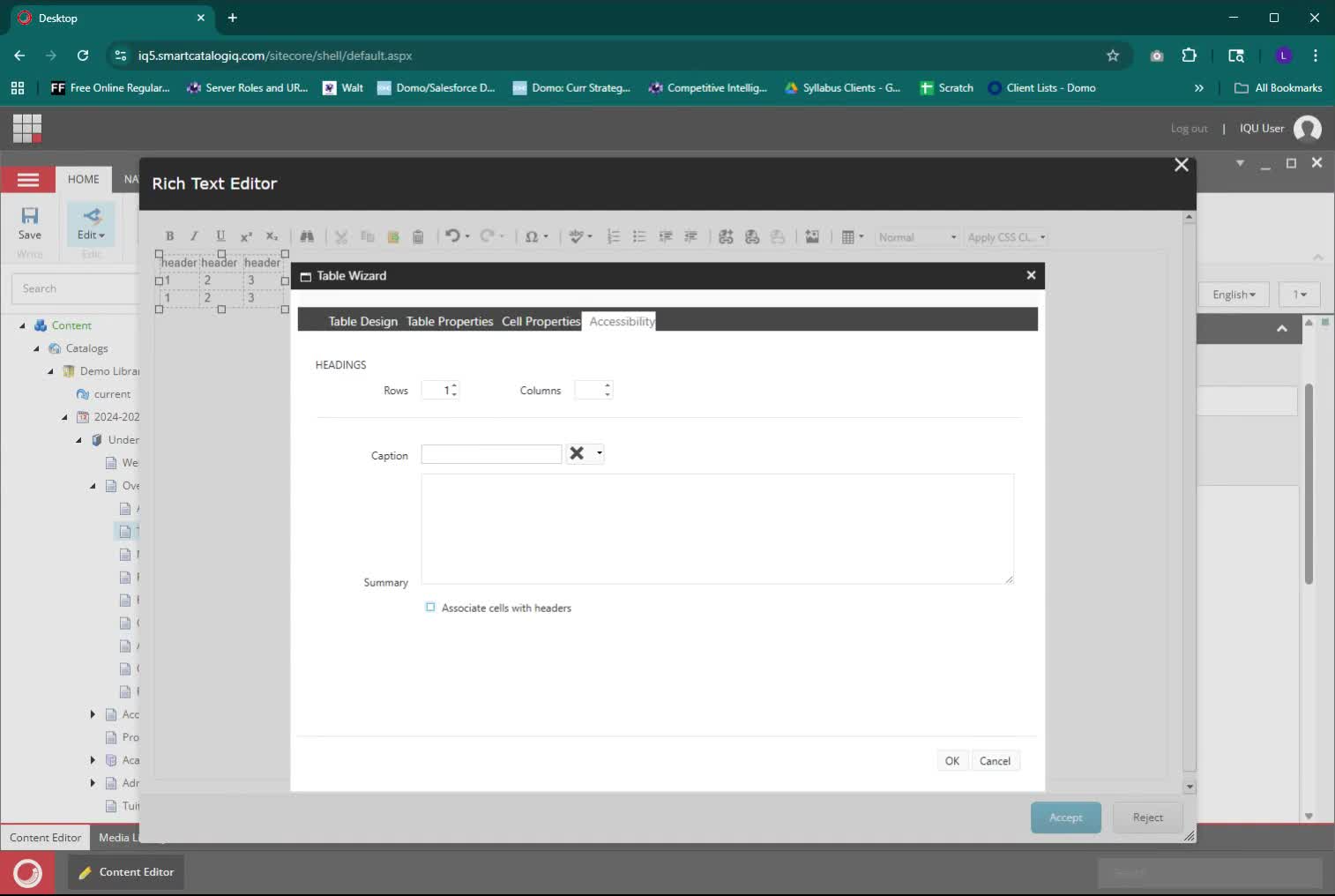 Rich Text Editor window with Accessibility tab open for table properties