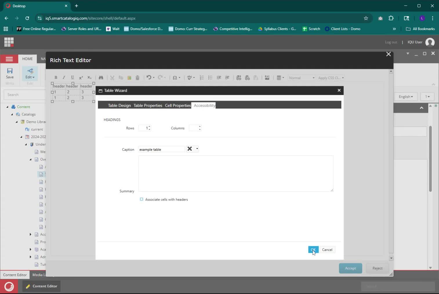 Rich Text Editor window with Accessibility tab open and OK button to accept settings