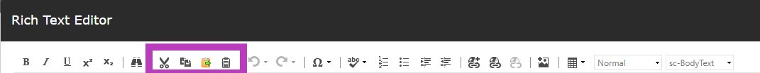 The rich text editor toolbar showing icons with the cut, copy, paste, and remove formatting group highlighted.