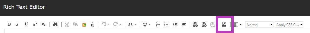The rich text editor toolbar showing the Insert Sitecore Media highlighted.