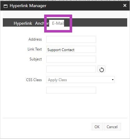 The hyperlink manager showing the E‑Mail tab highlighted.