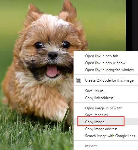 The Image showing a small dog on the left and a context menu on the right. Context menu displays options including Open link in new tab, Save image as, Copy image, and Copy image address. Copy image option is highlighted.