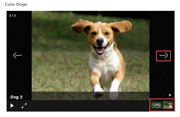 The Cute Dogs slideshow showing image 2 of 2 with navigation arrows on both sides. Dog 2 label appears at bottom. Thumbnail strip shows two thumbnails on the right, with the current image highlighted. Play and fullscreen buttons appear at the bottom left.