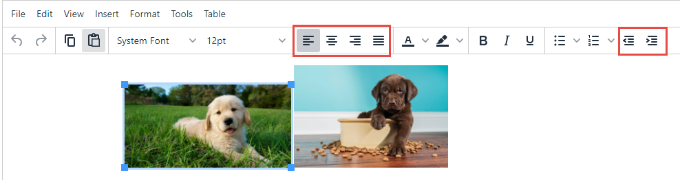 The Editor window showing two images placed side by side. Left image shows a figure on grass. Right image shows a small dog beside a food bowl. Toolbar above shows alignment buttons and justify options, with alignment group highlighted.