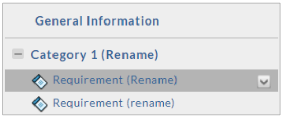 A template structure view showing General Information with Category 1 expanded, containing two requirements labeled Requirement (Rename), with one requirement selected.