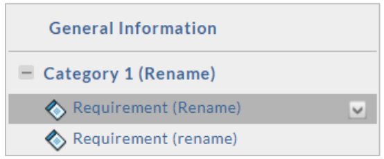 A template structure view showing General Information with Category 1 expanded, containing two requirements labeled Requirement (Rename), with one requirement selected.