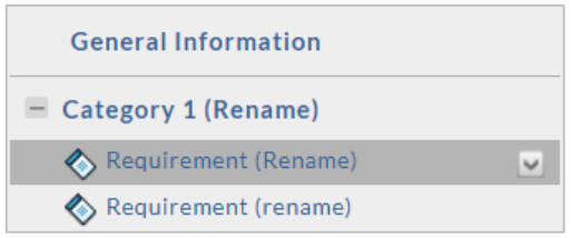 A template structure view showing General Information with Category 1 expanded, containing two requirements labeled Requirement (Rename), with one requirement selected.