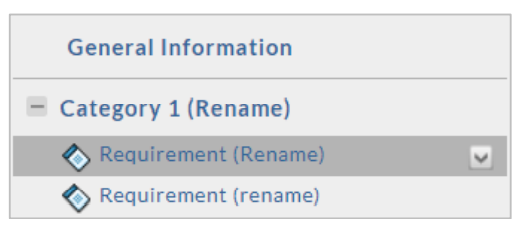 A template structure view showing General Information with Category 1 expanded, containing two requirements labeled Requirement (Rename), with one requirement selected.