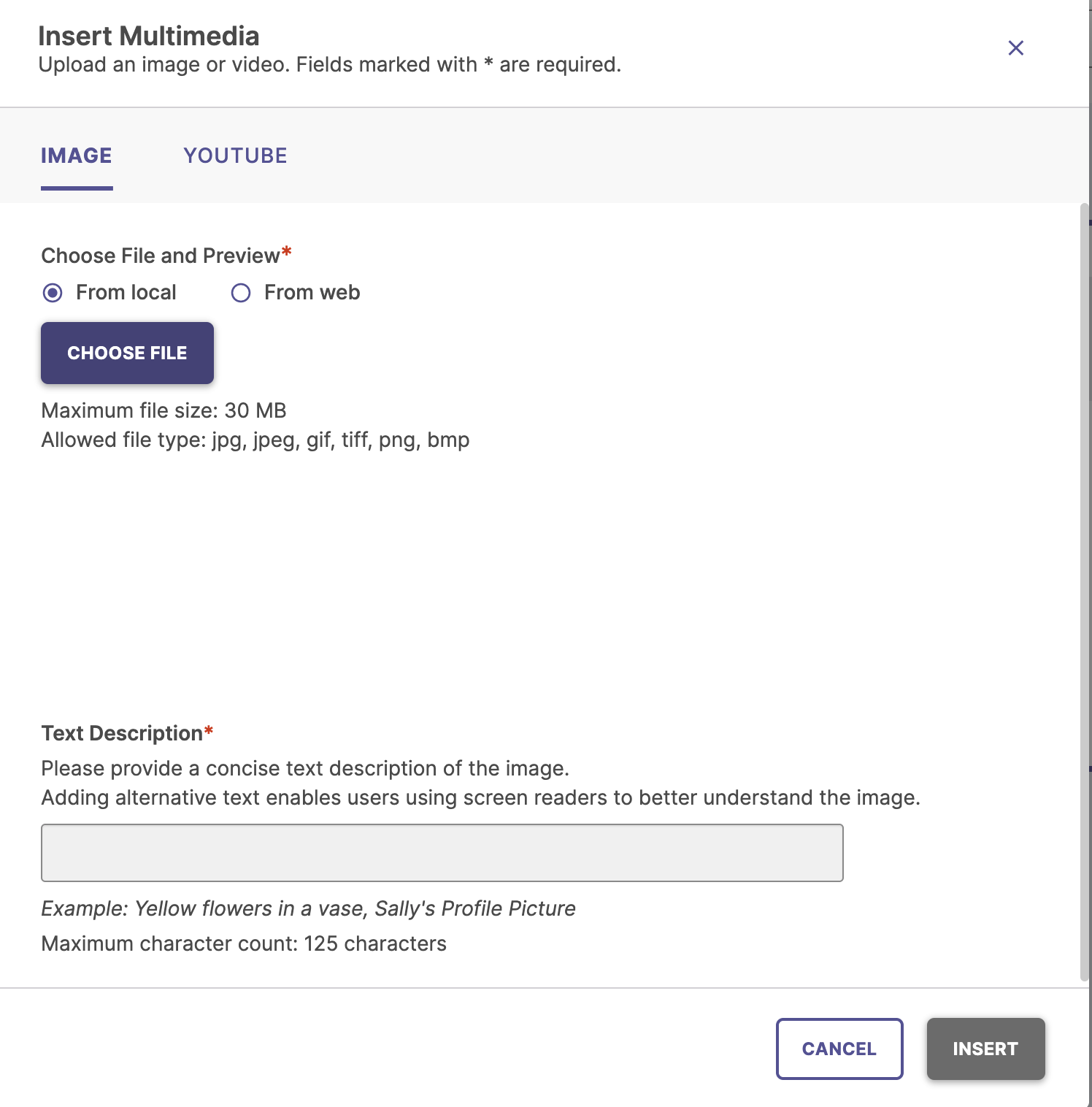 The 'Insert Multimedia' dialogue box showing the mandatory 'Text Description' field for image uploads