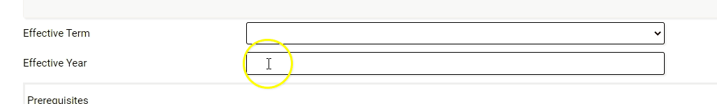 The form showing the Effective Year field with the cursor clicking into the text box and typing 2021.