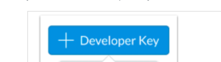 The Developer Key option to select.