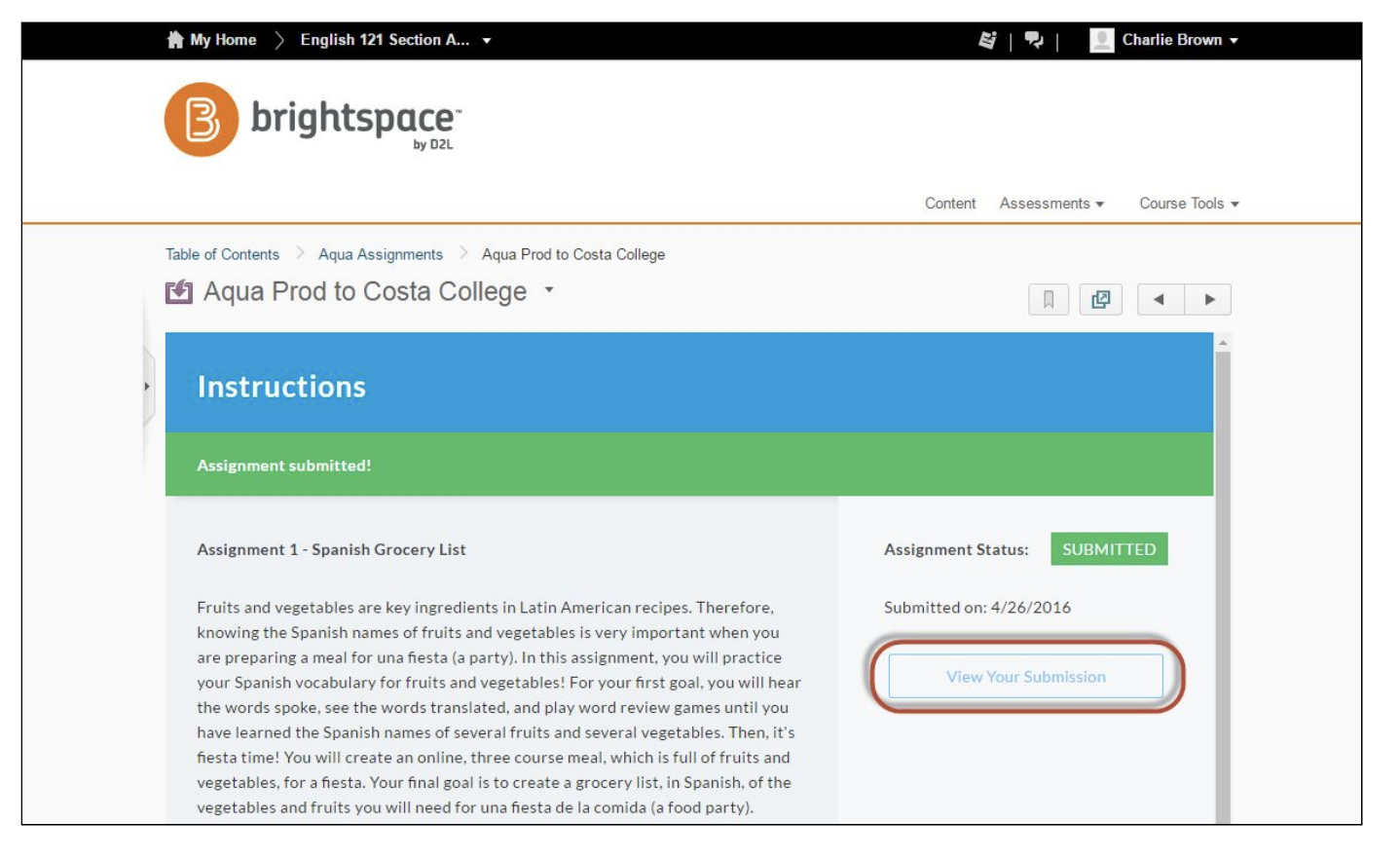 The Aqua Prod to Costa College page showing an Instructions panel with an Assignment submitted banner, assignment text, an Assignment Status field marked Submitted with a submission date, and a View Your Submission button highlighted.