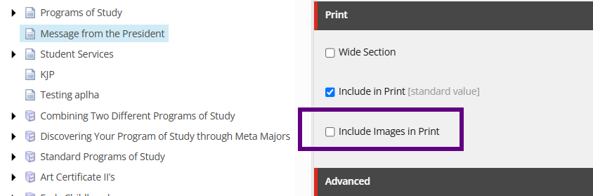 Include Images in Word Export checkbox location example.png