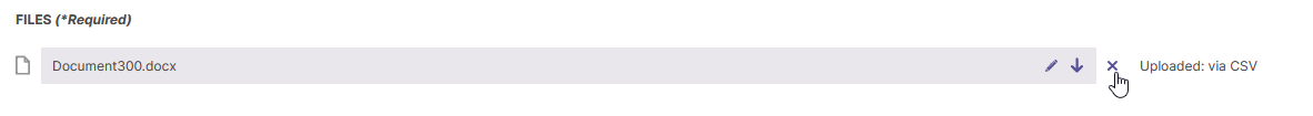 The Files (Required) section showing an uploaded file named ‘Document300.docx’ with options for editing, downloading, and deleting while a cursor pointing to the delete icon.