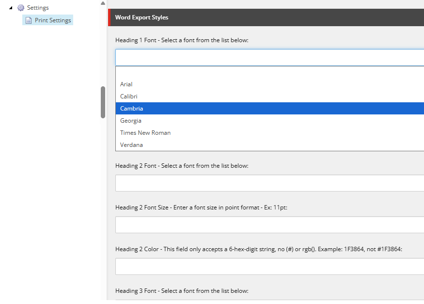 Print Settings item with options for styling Word document paragraph and headings.png