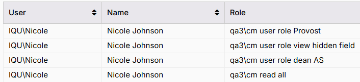 Example of one user profile with multiple roles assigned in User Report spreadsheet.png