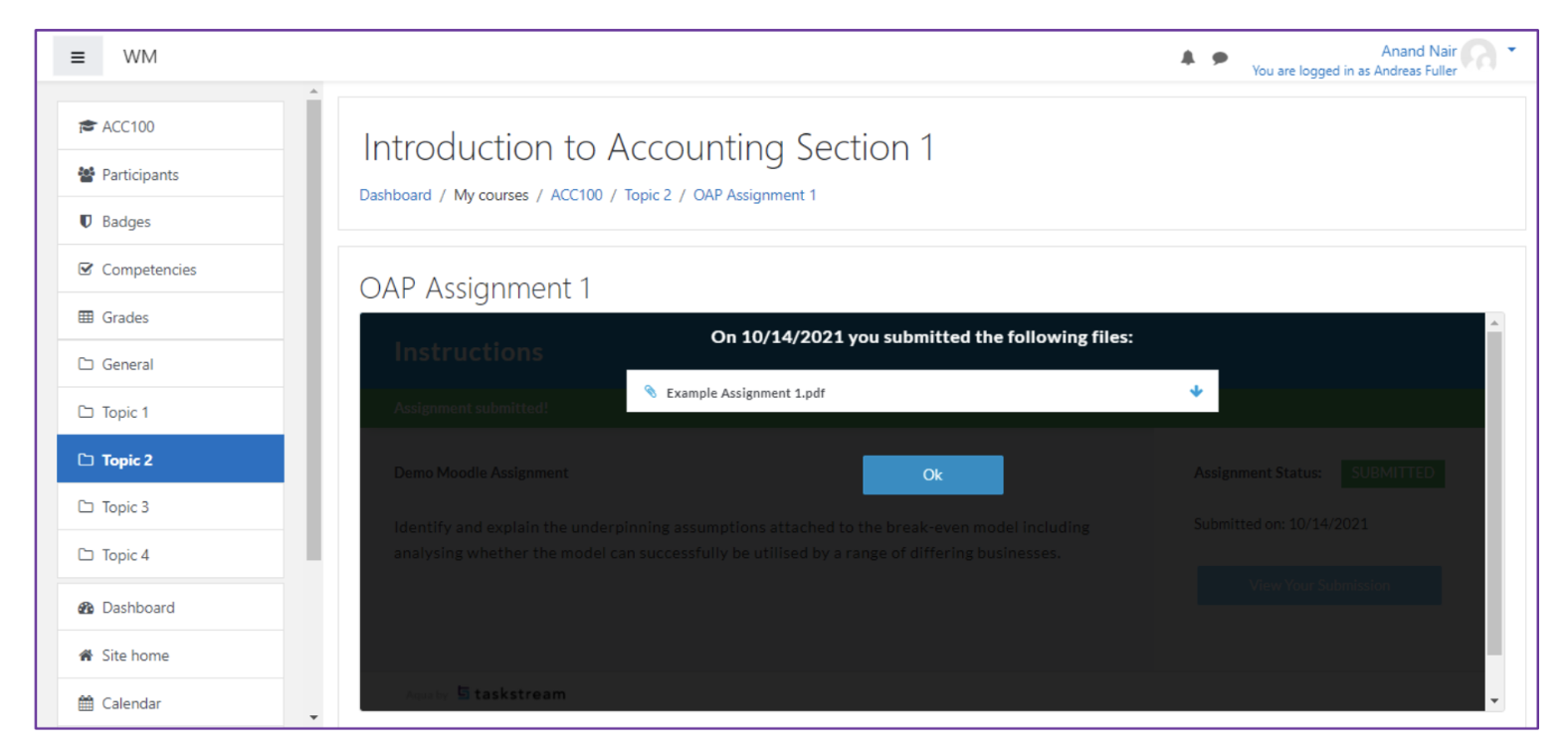 The submission confirmation pop‑up showing the date of submission and the file Example Assignment 1.pdf, with an Ok button displayed below.