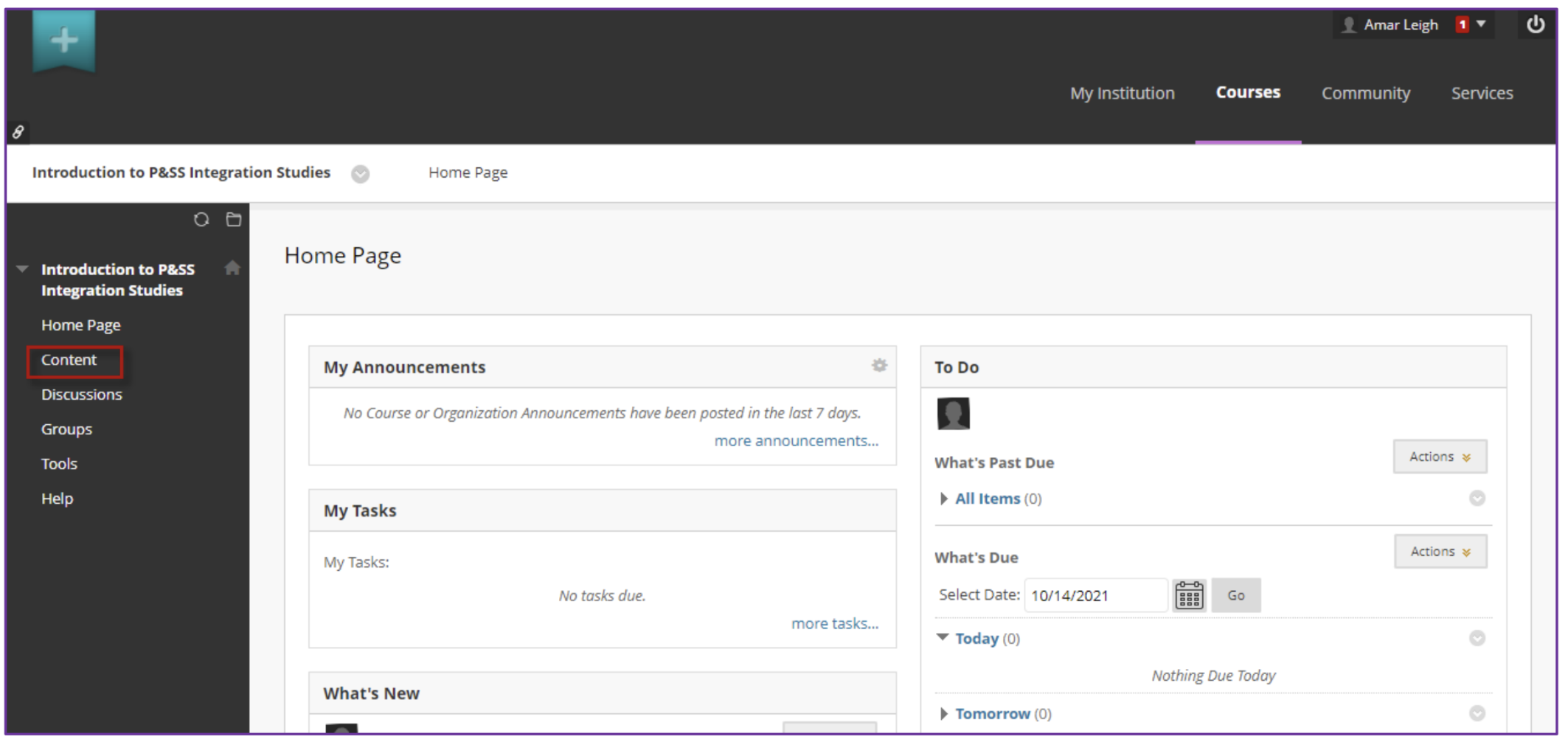 The Course Home Page showing left navigation with Home Page, Content, Discussions, Groups, Tools, and Help. Content link highlighted. Main area showing announcements, tasks, and due‑date panels.
