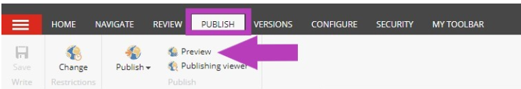 The Toolbar showing Publish tab highlighted and opened, with an arrow pointing at the Preview option.