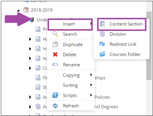 The catalog tree showing Undergraduate Catalog with a context menu open on the selected item, displaying Insert with a submenu listing Content Section, Division, Redirect Link, and Courses Folder, along with options for Search, Duplicate, Delete, Rename, Copying, Sorting, Scripts, and Refresh.