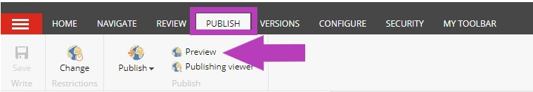 The Publish tab showing the menu bar with an arrow pointing at the Preview option.