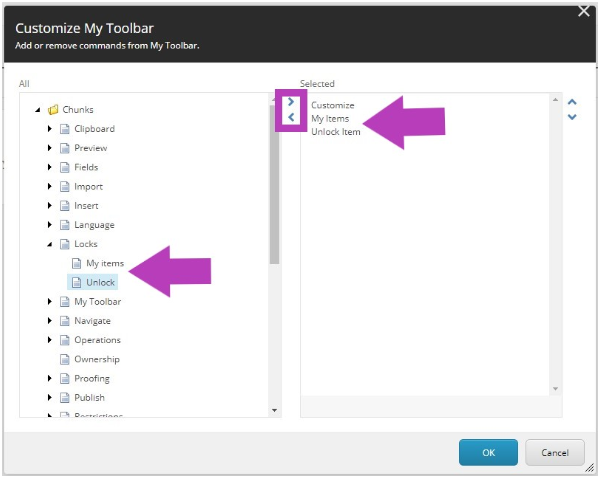 The Customize My Toolbar popup showing tool list on the left and selected tools on the right. Unlock tool highlighted in the left list, arrow tool highlighted between the lists, and selected list showing Customize, My Items, and Unlock Item.
