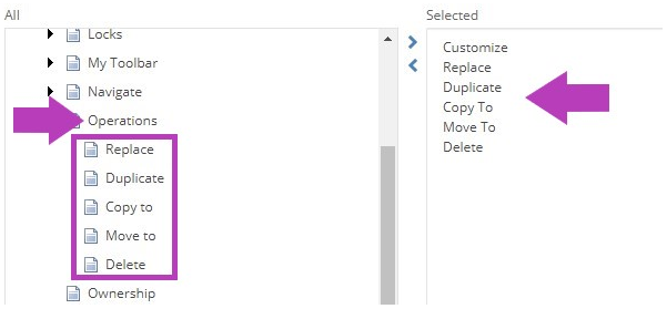The Customize My Toolbar popup showing Operations section with tools Replace, Duplicate, Copy To, Move To, and Delete highlighted on the left. Selected tools list on the right showing Replace, Duplicate, Copy To, Move To, and Delete.