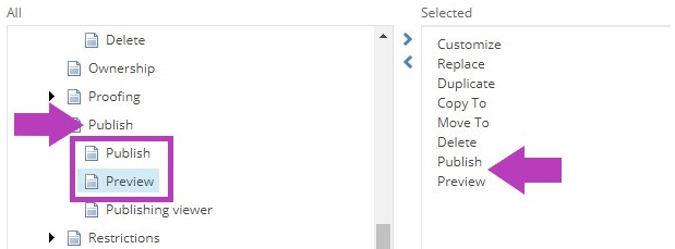 The Customize My Toolbar popup showing Publish section with Publish and Preview tools highlighted on the left. Selected tools list on the right showing Publish and Preview highlighted.
