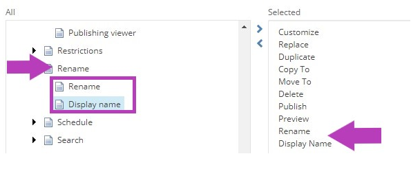 The Customize My Toolbar popup showing Rename section with Rename and Display name tools highlighted on the left. Selected tools list on the right showing Rename and Display name highlighted.