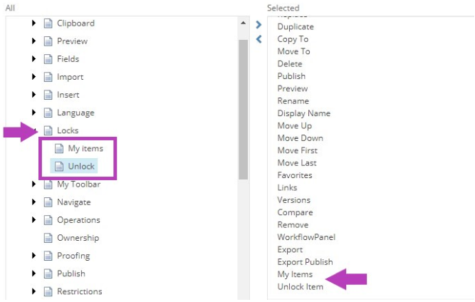 The Customize My Toolbar popup showing Locks section with My Items and Unlock tools highlighted on the left. Selected tools list on the right showing My Items and Unlock Item highlighted.