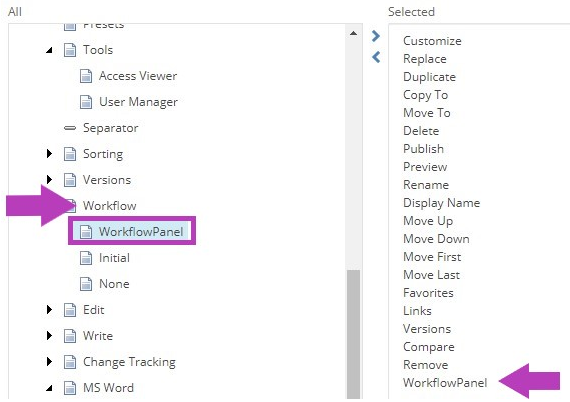 The Customize My Toolbar popup showing Workflow section with WorkflowPanel tool highlighted on the left. Selected tools list on the right showing WorkflowPanel added.