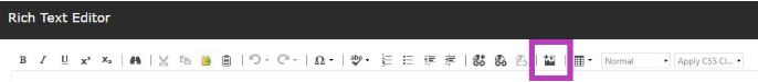 A Rich Text Editor toolbar showing the Insert Sitecore Media button highlighted.