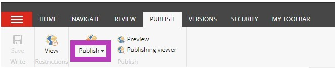 The Publish tab showing the Publish dropdown button highlighted.
