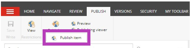The Publish tab showing the Publish item button highlighted.