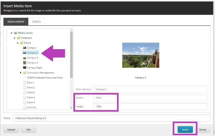 An Insert Media Item page showing the Media Library with the Campus 2 image selected, the Width and Height fields highlighted on the right, and the Insert button highlighted at the bottom.