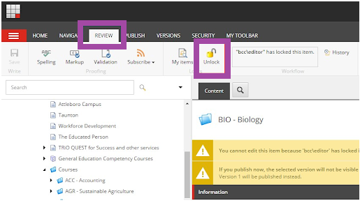 A Review tab page showing the top toolbar with the Review tab and the Unlock button highlighted.