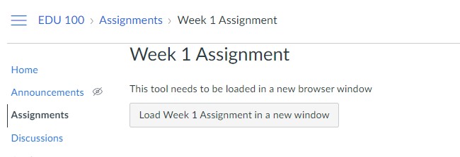 Screenshot of the Canvas assignment page after saving, showing the 'Load [assignment name] in a new window' button.