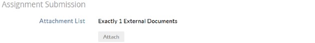 The Assignment Submission section showing an Attachment List link and a message stating Exactly 1 External Documents, with an Attach button.