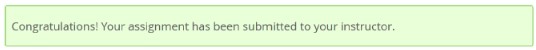 The submission confirmation banner showing the message Congratulations! Your assignment has been submitted to your instructor.